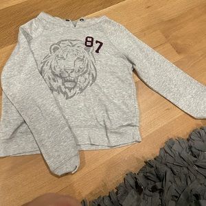 gray aero lion sweatshirt